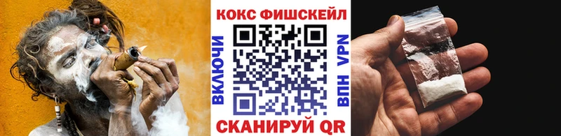 Купить где  Заполярный  COCAIN Колумбийский 
