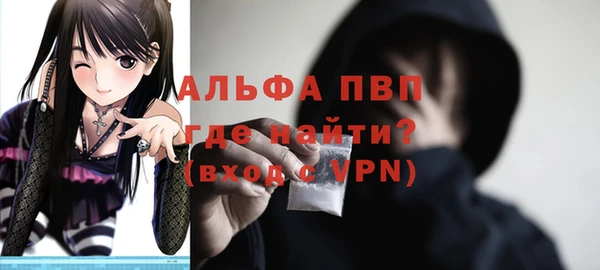 стафф Каменногорск
