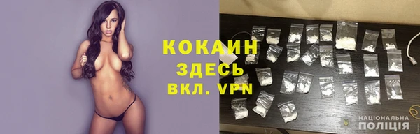 сатива Каменск-Шахтинский