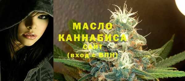 мет Сясьстрой
