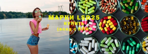 прущие грибы Иннополис